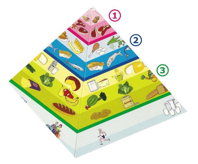 Pirámide alimenticia
