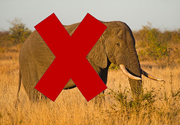 Imagen de un elefante tachado
