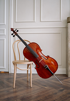 instrumento de cuerda